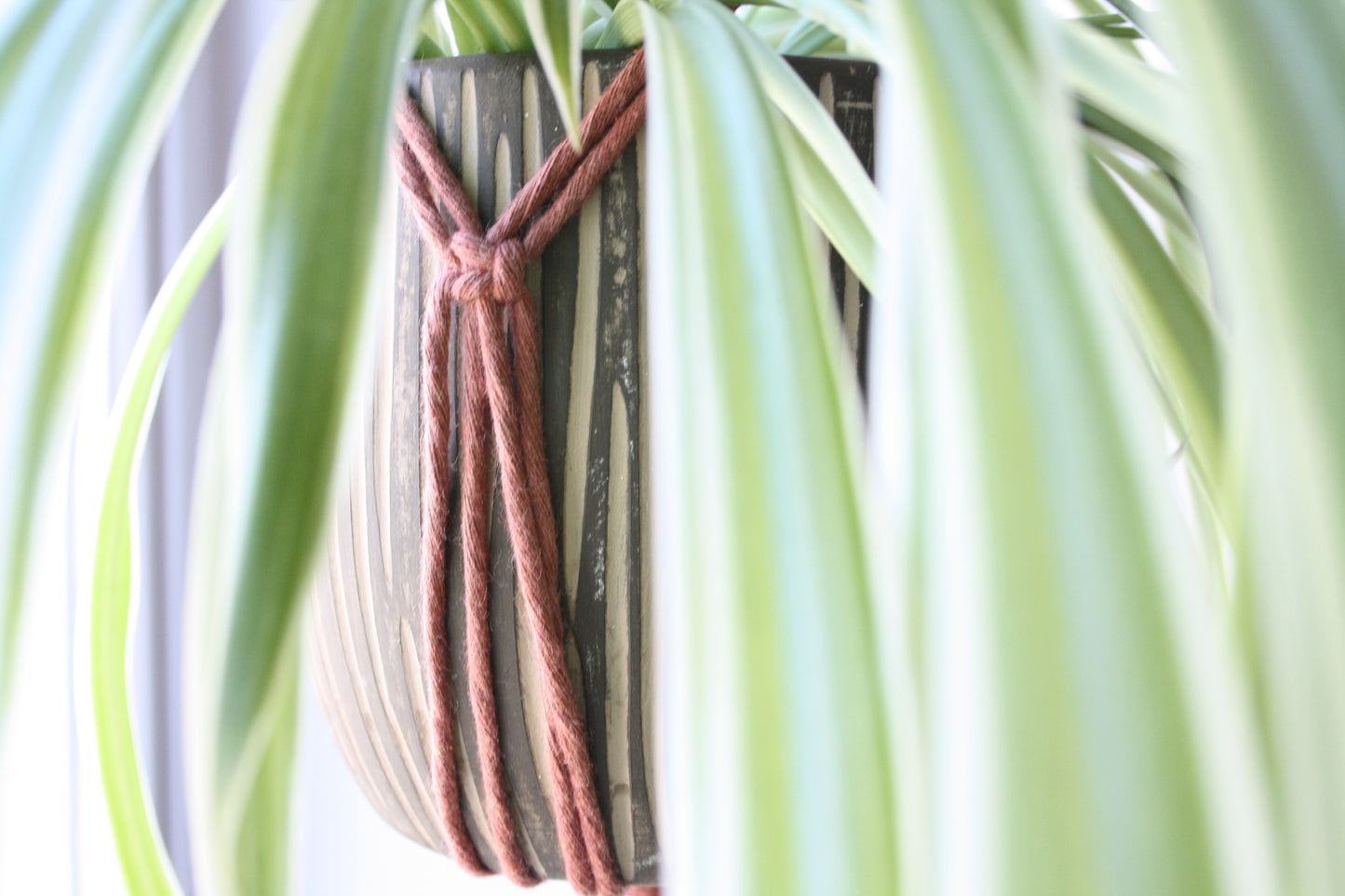 Macrame planthanger by Macramandy