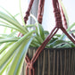 Macrame planthanger by Macramandy